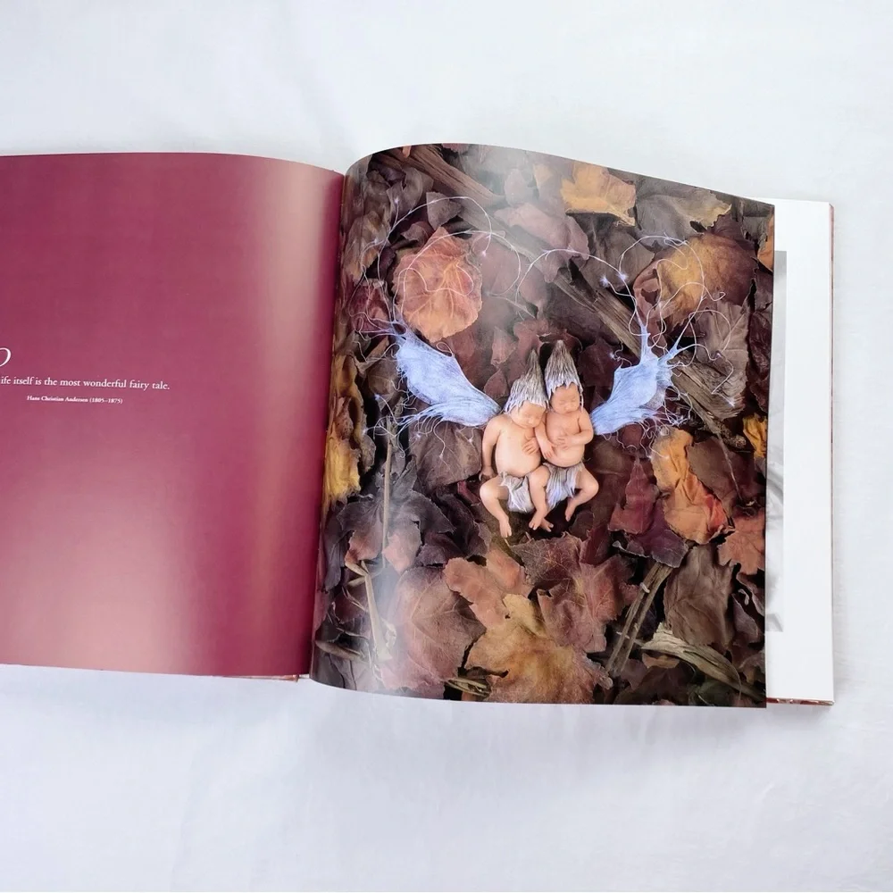 Anne Geddes Hardcover Coffee Table Book Set of 2
